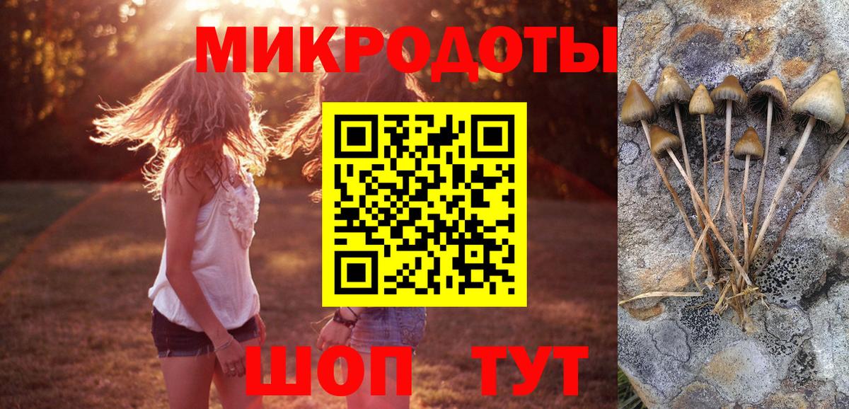 Галлюциногенные грибы Magic Shrooms  Канаш 